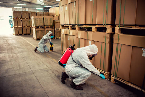 Best Wasp Removal Services  in Lake Arrowhead, CA